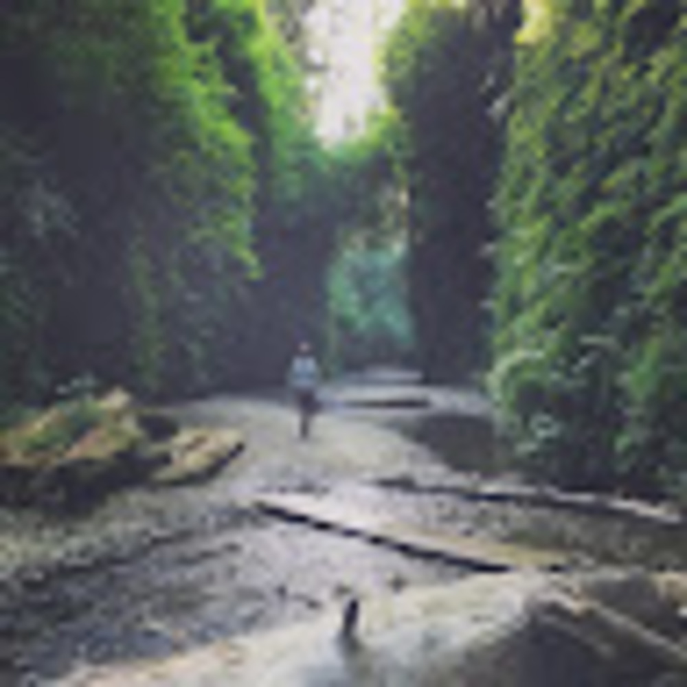 Meet your Posher, Shannon